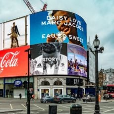 Piccadilly Lights
