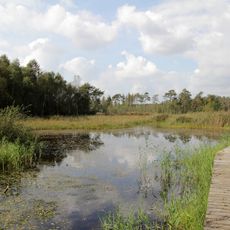 Punto di vista panoramico