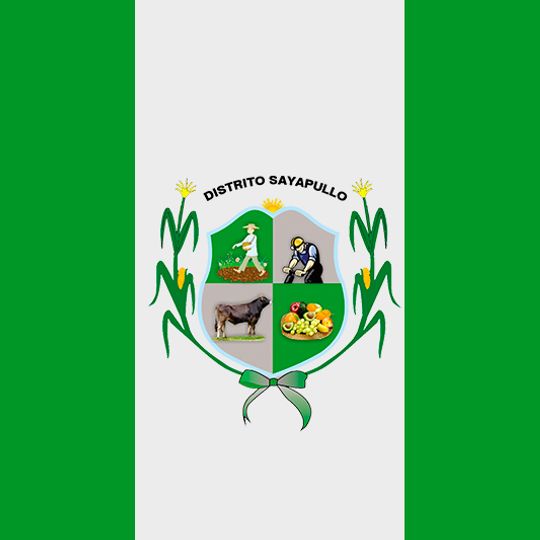 Sayapullo District