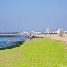 Praia da Ponta da Areia