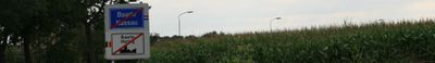 Panoramic View 0
