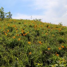 Komsomolsk Nature Reserve