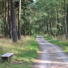 Ystads sandskog