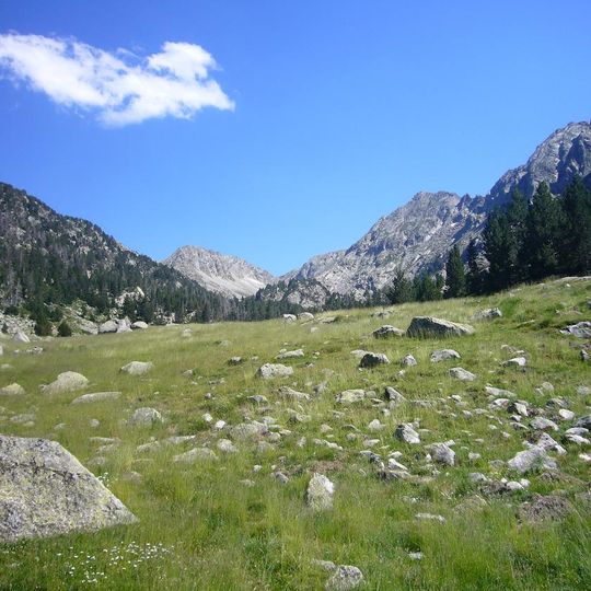 Pletiu de Damont de Morrano