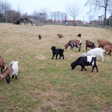 Parc animalier de La Reid