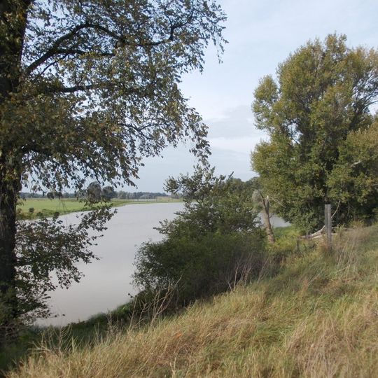 NSG Alte Elbe Kathewitz