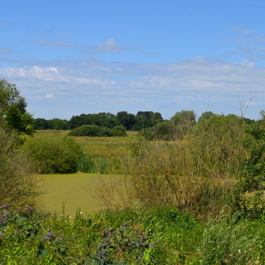 Pelednagiai Botanical Reserve