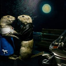 Torrington Gopher Hole Museum