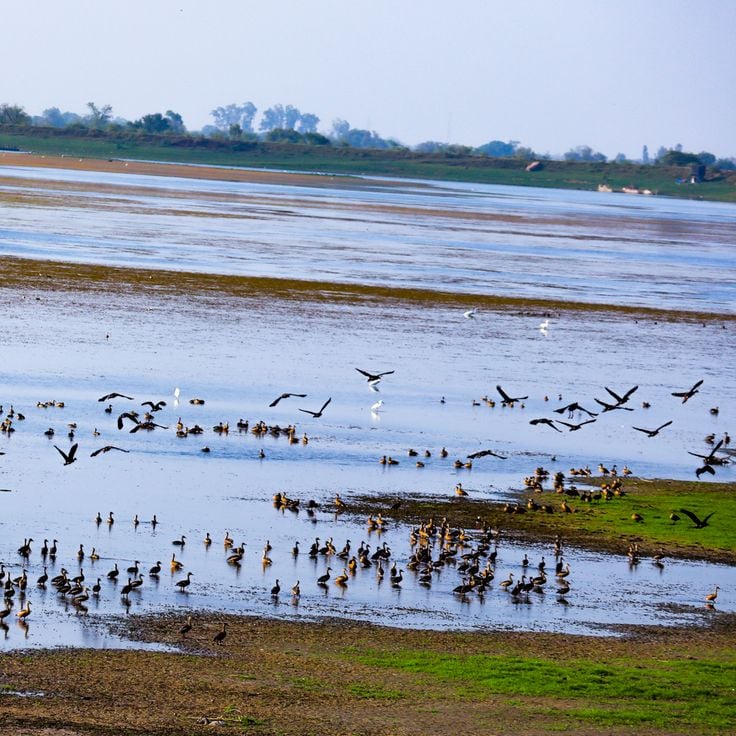 Wadhvana Bird Sanctuary