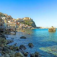 Scilla