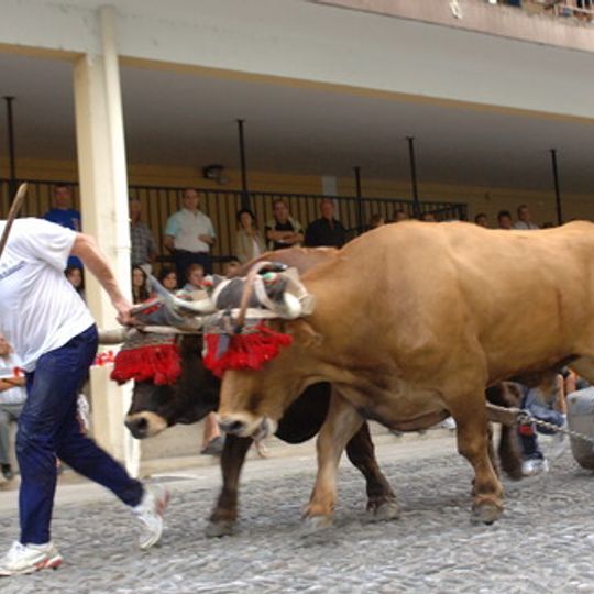 Probaleku De Urnieta