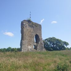 Knepp Castle