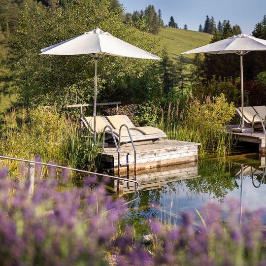 Almwellness Hotel Pierer 4*s