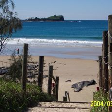 Mudjimba Island lookout