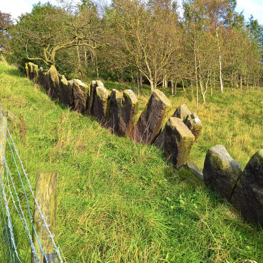 Remains of vaccary walls