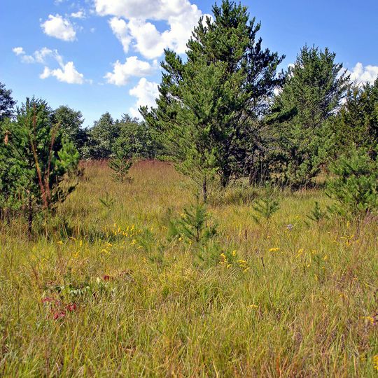 Dunnville Barrens State Natural Area