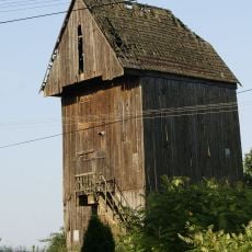 Wiatrak koźlak