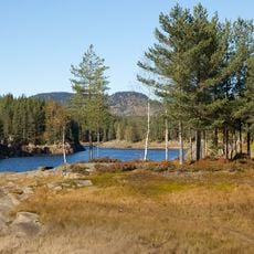 Fjellvannet