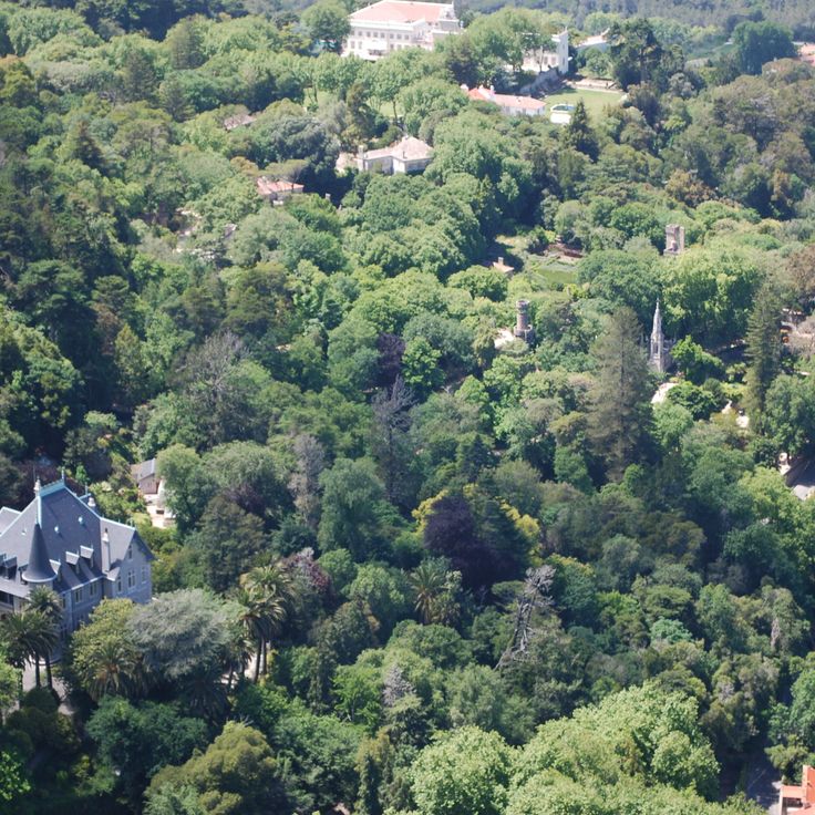 Casa Biester