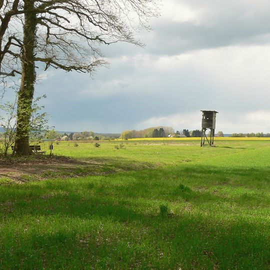 Altsteinzeitlicher Fundplatz am Hohenholz