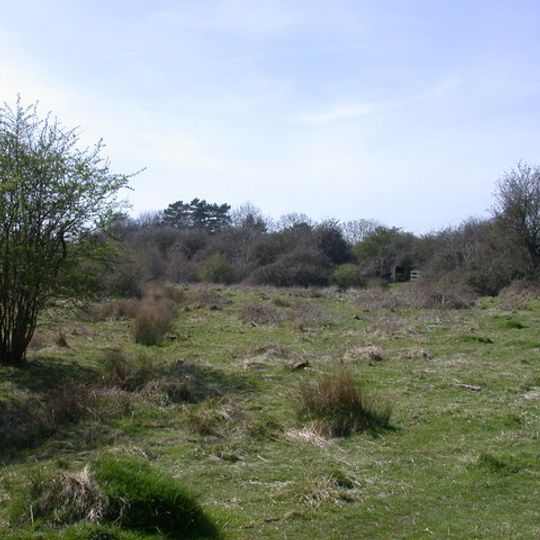 L-moor, Shepreth