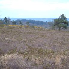 Aylesbeare Common RSPB reserve