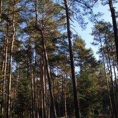 Grünberg in der Gemeinde Frankenburg