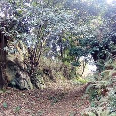 Castro de San Victorio