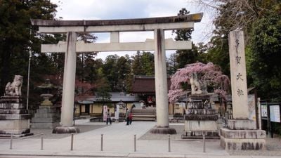Entrada 0