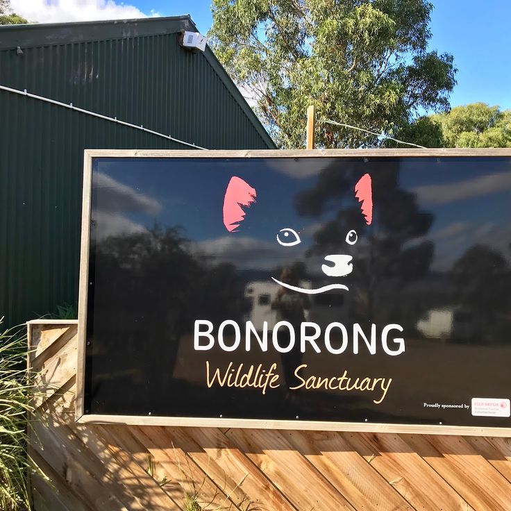 Sanctuaire animalier de Bonorong