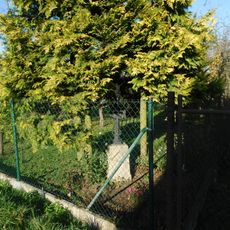 Kříž na jihozápadním okraji Dobrohostova