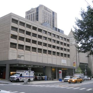 Lower Manhattan Hospital