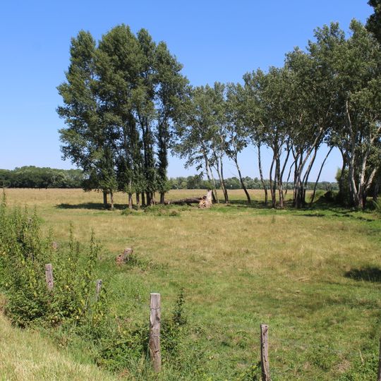 Prairies inondables du val de Saône