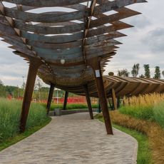 Tyufeleva Roshcha Park