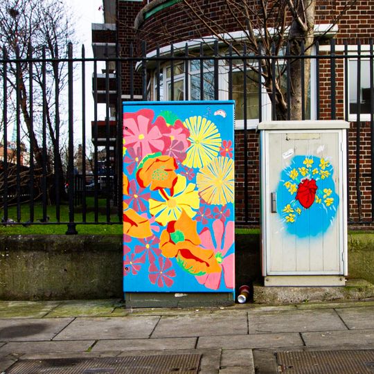 Blaith, Blaith, Blaith