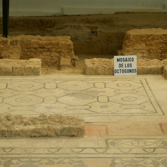 Habitación Nº 9 Mosaico de Octógonos y Óvalos