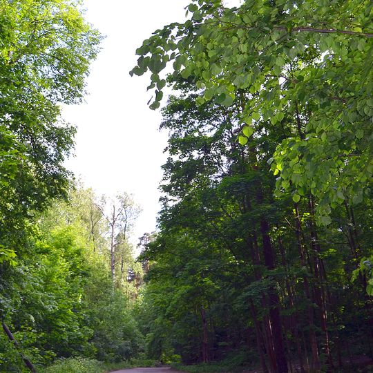 Парк с прудом