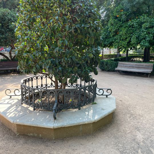 Conjunto de Alcorques-banco de los Jardines del Genil