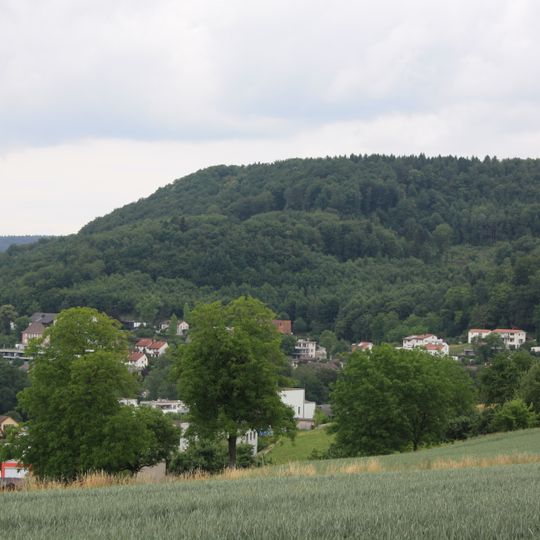 Gebensstorfer Horn, Wallanlage