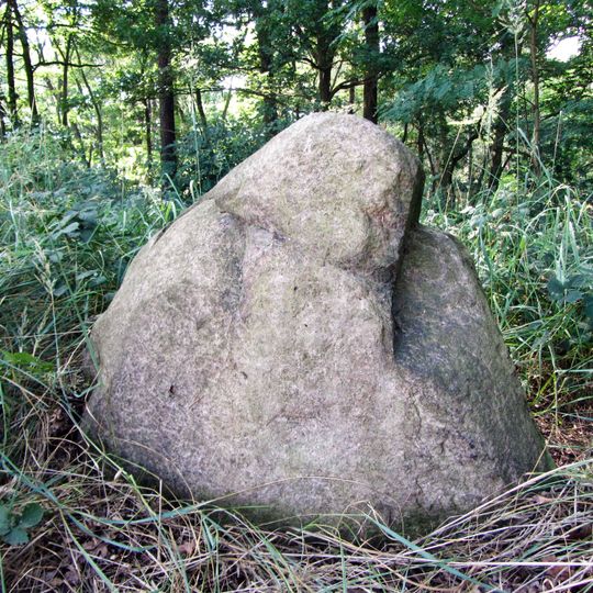 Menhir von Bucha