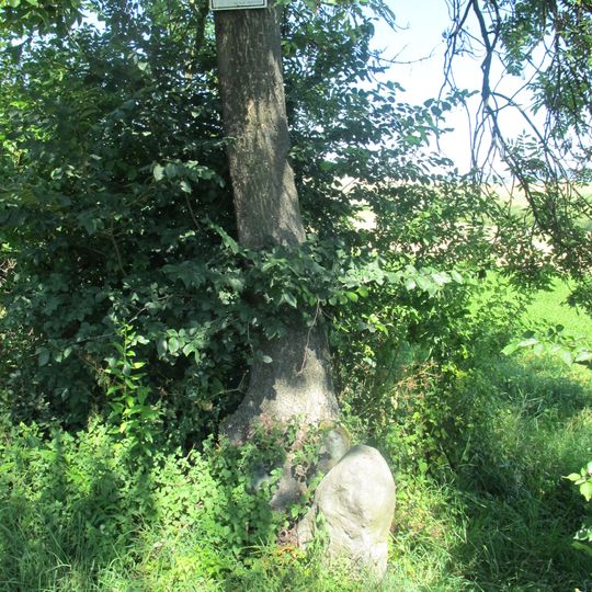 Menhir d'Orasice