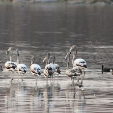 Ameenpur Lake