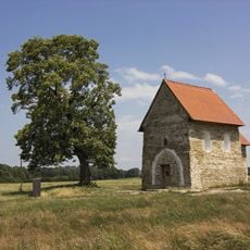Large-leaved lime of Kopčany