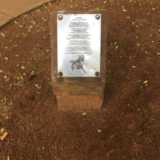 Homenagem ao Cão Salomão