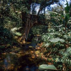 Salto Morato Private Natural Heritage Reserve