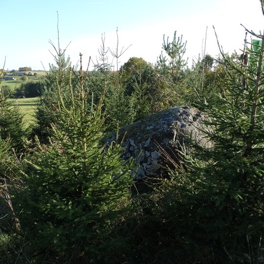 Ringailių akmuo Juozytis