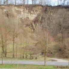 NSG Auf der Scheidthecke und Hoverbachtal