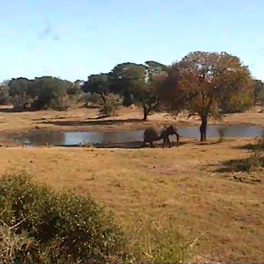 Tembe Elephant Park