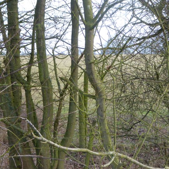 Sudborough Green Lodge Meadows