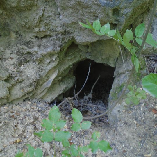 No 2 Cave of Róka-hegyi quarry